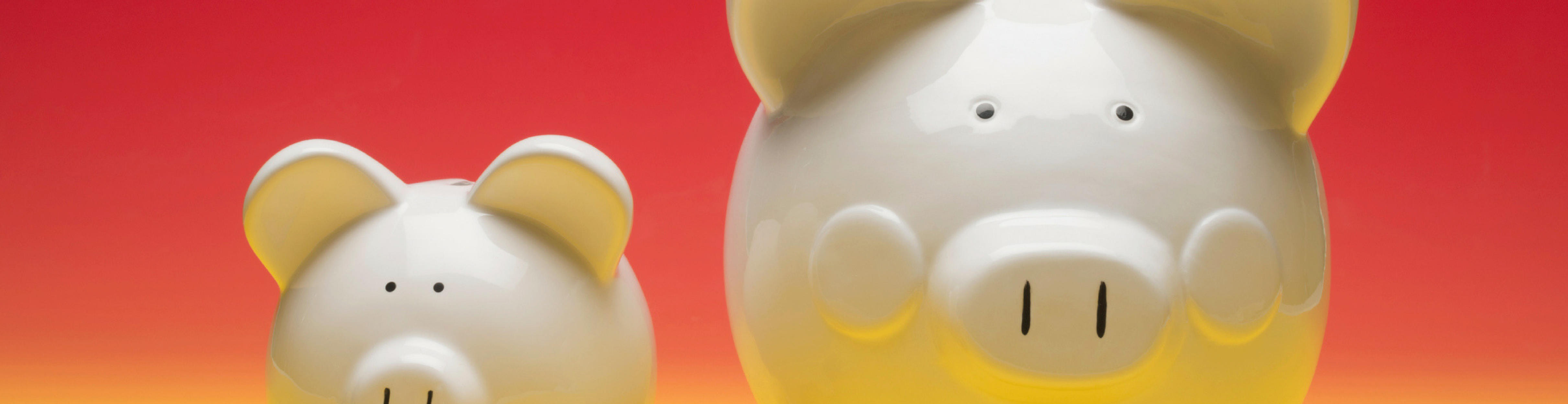 Blog Image (42)