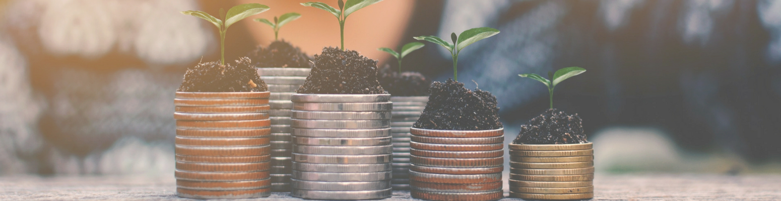 Is It Really Possible to Have Student Loans Forgiven? 